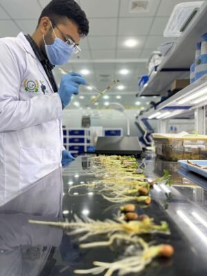 Seed Test Without Control Basic Package