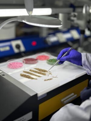 Seed Test With Control Basic Package