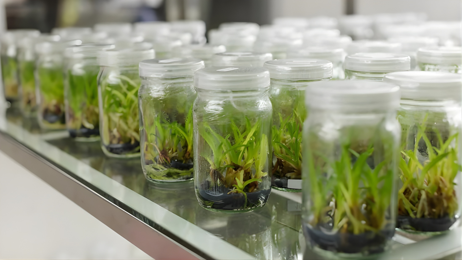 Untitled design (78)