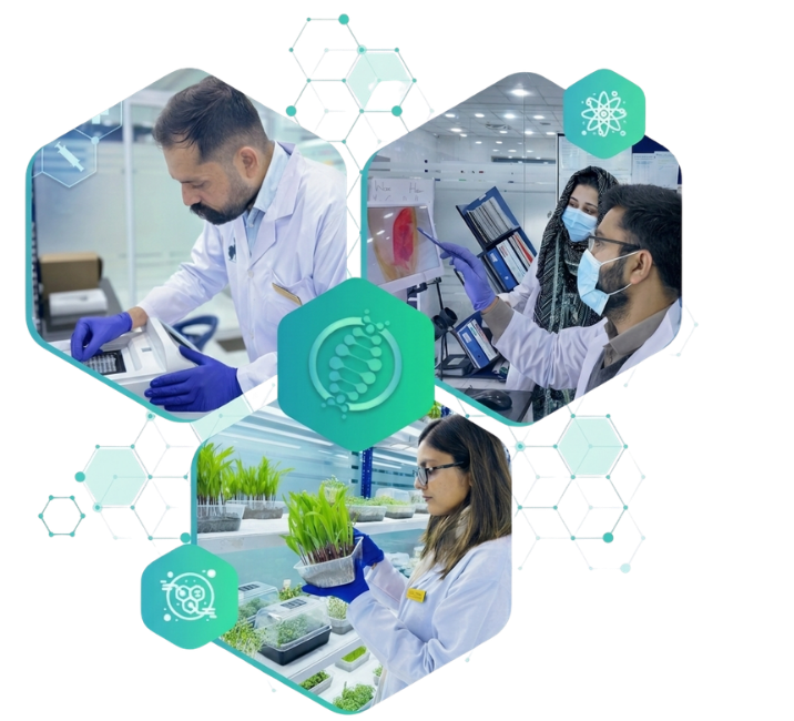 Pakistan Lab GGAS Hi-Tech Labs |ISTA Accredited Seed Testing Lab Pakistan