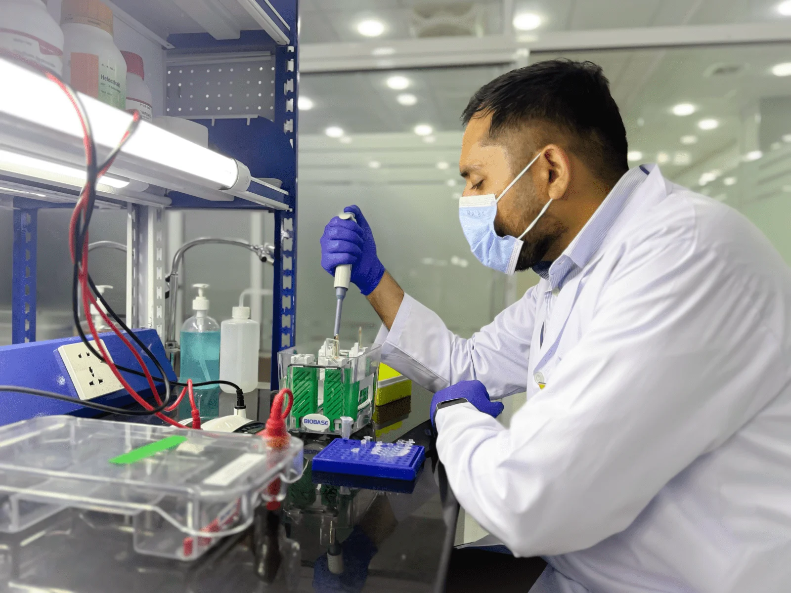 Pakistan Lab GGAS Hi-Tech Labs |ISTA Accredited Seed Testing Lab Pakistan