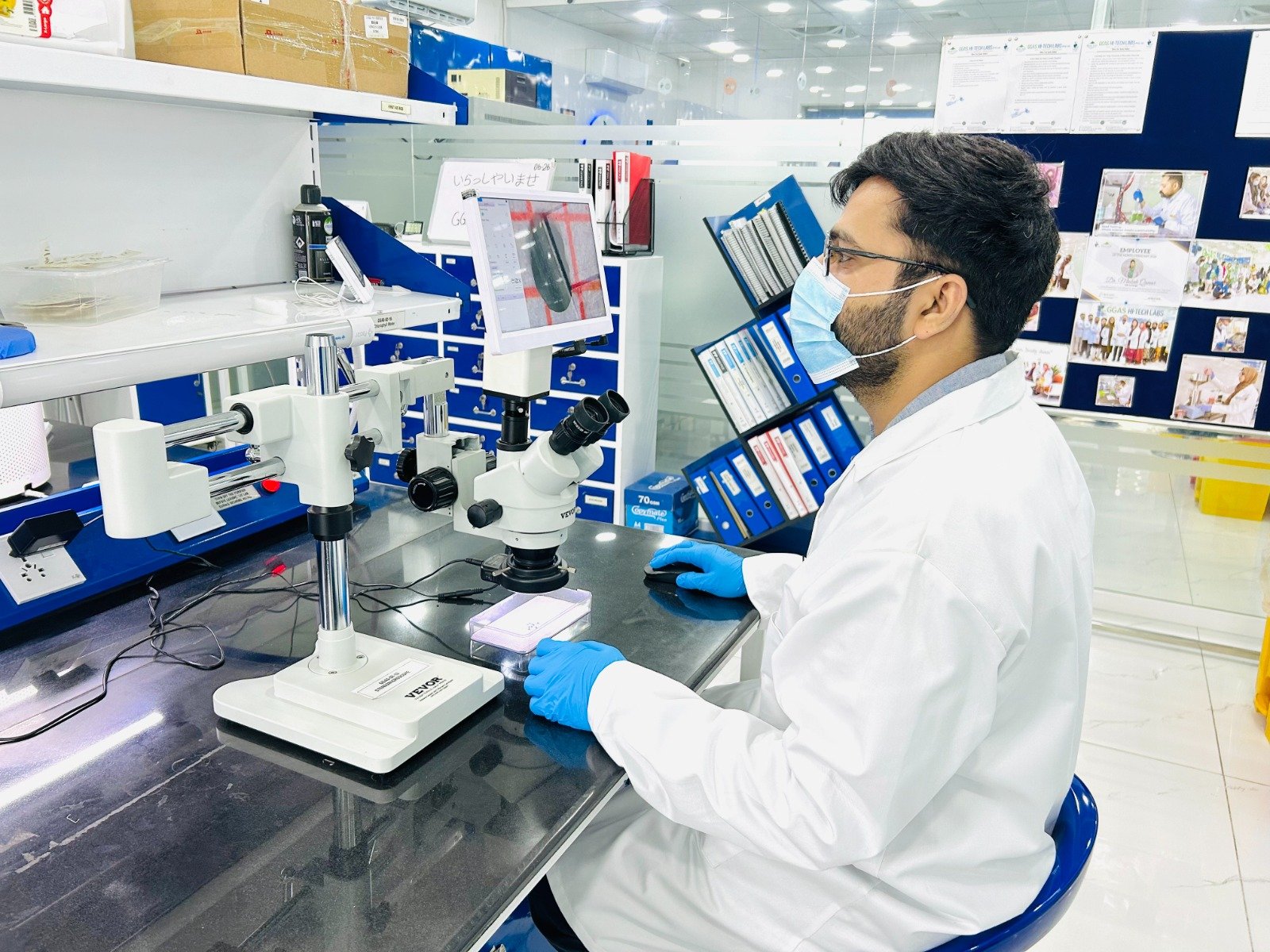 Plant Test Tubes