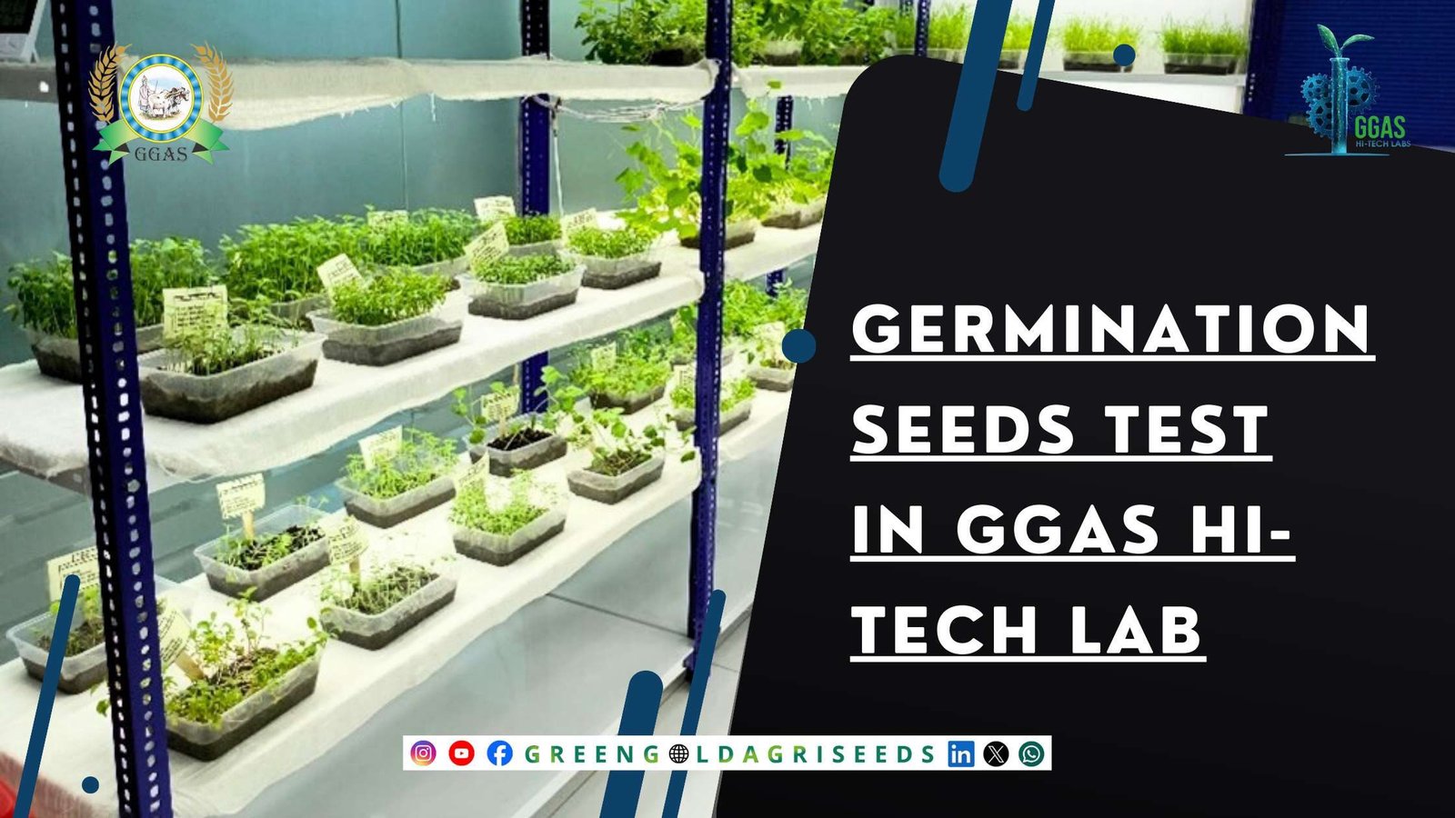 Germination Seeds Test Performed in GGAS HI-Tech Lab