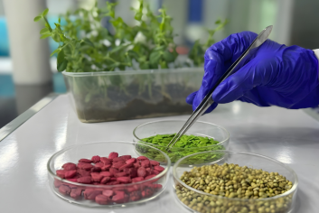 Untitled design (76)