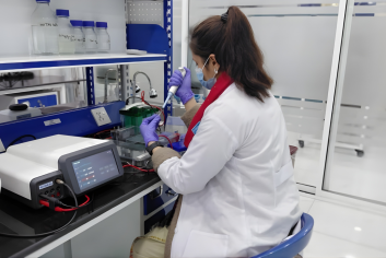 Untitled design (77)