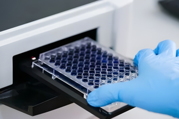 Untitled design (80)