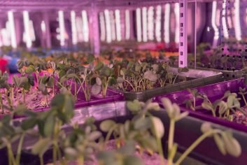 WhatsApp Image 2024-12-05 at 10.25.36 AM